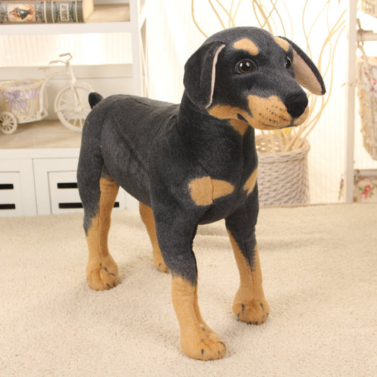 Buddy the Black Pupy